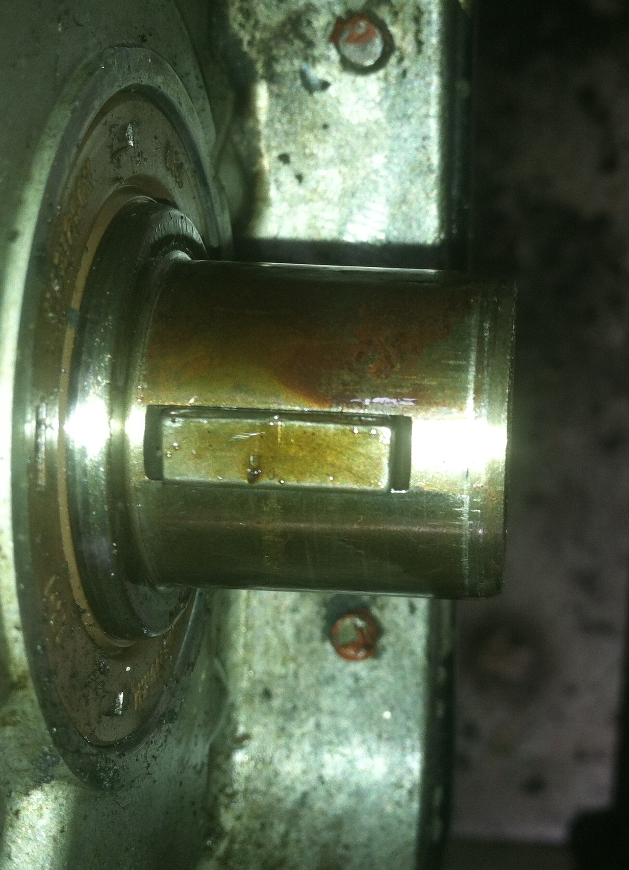 [Image: 153_02_06_13_5_43_22.jpeg]