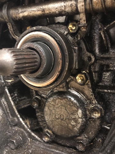 [Image: 2192_29_09_18_1_25_55.jpeg]