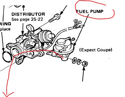 [Image: 3_22_05_15_1_30_43.jpeg]