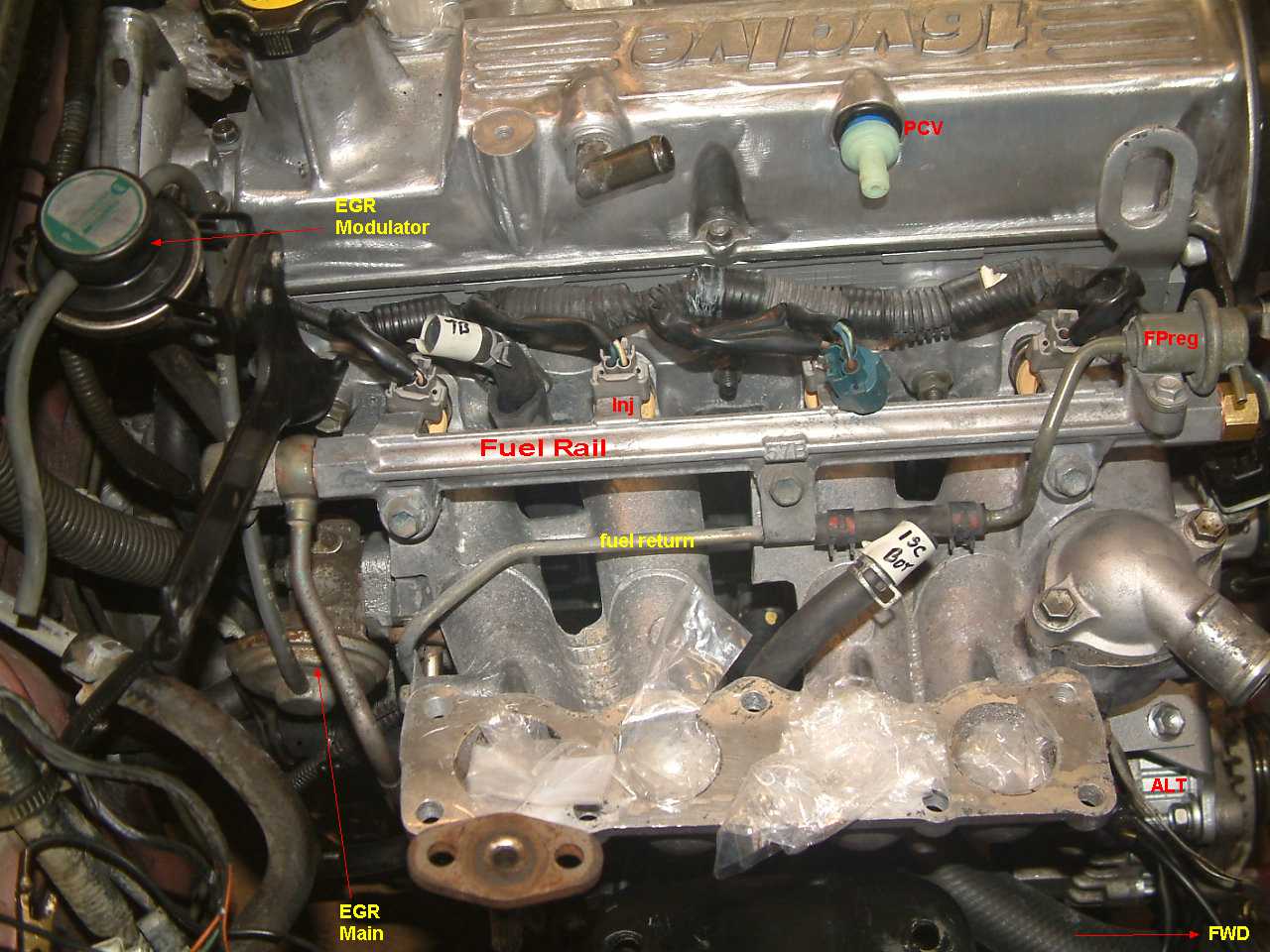 [Image: intake-install%20(3).jpg]