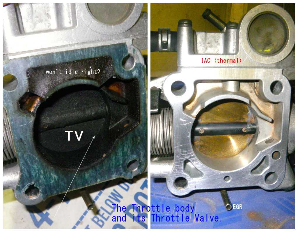 [Image: TB-bad-back.jpg]