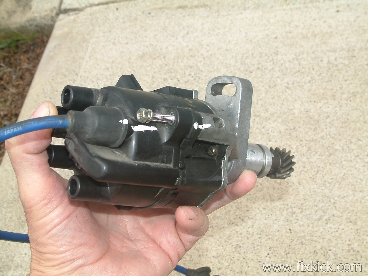 [Image: DIZZY1%20%281%29.JPG]